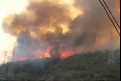 聽說最近輸電線路和鐵塔“火”啦！