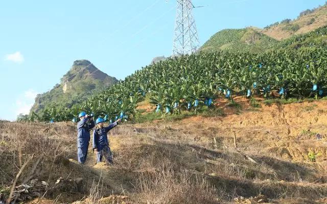 聽說最近輸電線路和鐵塔“火”啦！