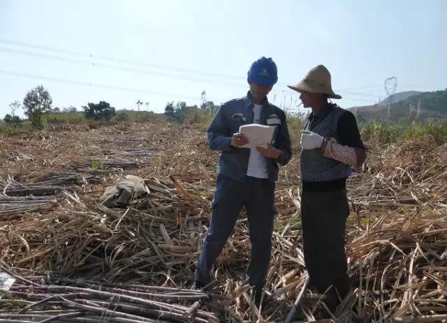 聽說最近輸電線路和鐵塔“火”啦！