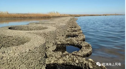 維斯塔斯海上風(fēng)機(jī)搞創(chuàng)新：居然還用到生蠔！