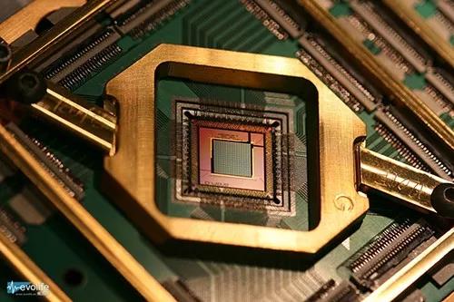 量子計算機真的來了