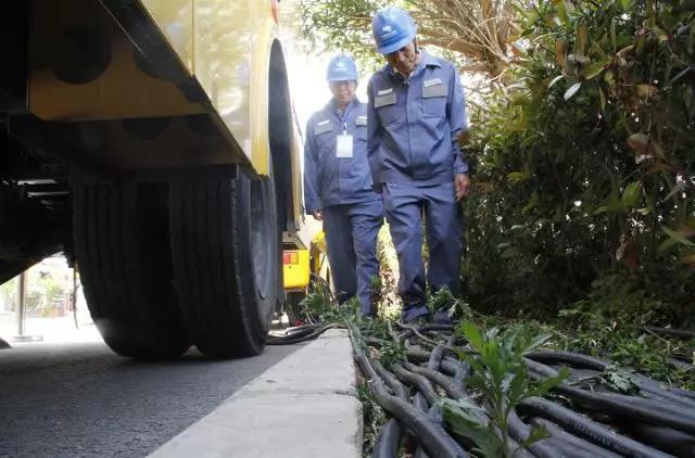 楚雄州慶，跟著小赫茲一起湊熱鬧！