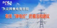 有關“降電價”的看法和建議
