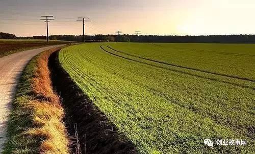 依靠美村網(wǎng)，95后小伙用互聯(lián)網(wǎng)+農(nóng)業(yè)改變農(nóng)產(chǎn)品銷售模式