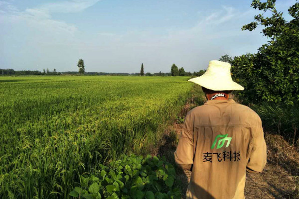 “AI+遙感”覬覦萬億級智慧農(nóng)業(yè)市場，這次沒有中間商賺差價(jià) 