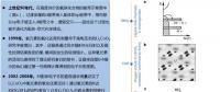 鋰離子電池陰離子氧化還原化學的內(nèi)在科學及實用性討論