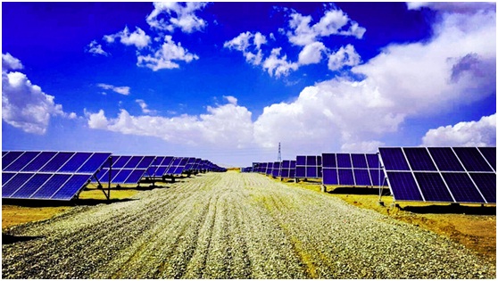 市場風(fēng)向波云詭譎 光伏企業(yè)竟跨界成風(fēng)？