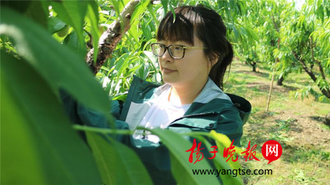 一個“80”后研究生的“綠色農(nóng)業(yè)夢”：用“互聯(lián)網(wǎng)+”思維做農(nóng)業(yè)，新型職業(yè)農(nóng)民“潮”起來