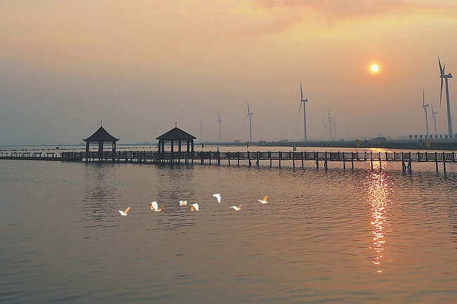 高質(zhì)量發(fā)展風(fēng)電產(chǎn)業(yè)