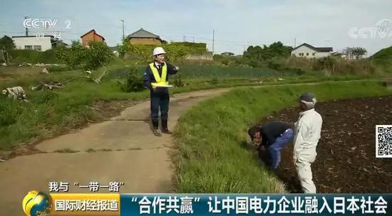 中國央企用光伏帶日本農民致富！10倍租金盤活荒廢農地