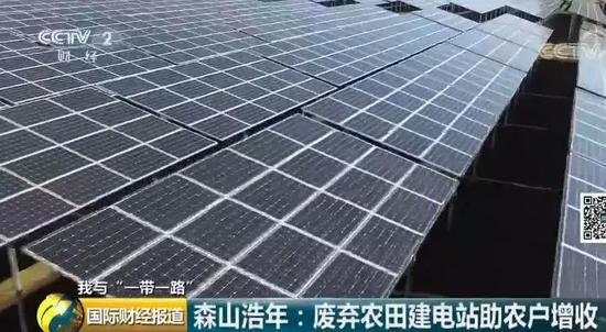 中國央企用光伏帶日本農民致富！10倍租金盤活荒廢農地