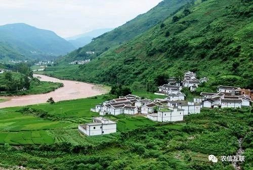 移動(dòng)互聯(lián)網(wǎng)走進(jìn)農(nóng)村，推動(dòng)農(nóng)業(yè)產(chǎn)業(yè)的智慧化轉(zhuǎn)型升級(jí) 