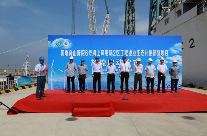 海上風(fēng)電與增殖放流并舉 這里的保護生態(tài)舉措很給力