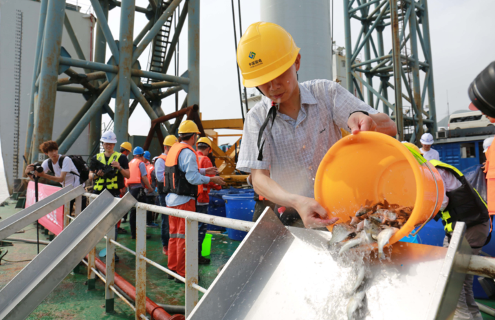 海上風(fēng)電與增殖放流并舉 這里的保護生態(tài)舉措很給力