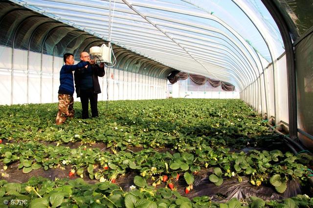 鍵盤聲替代了麻將聲，互聯(lián)網(wǎng)農(nóng)業(yè)變革正當(dāng)時(shí)