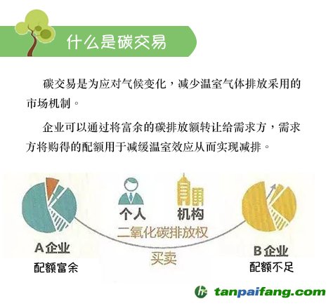 碳排放權(quán)交易全流程