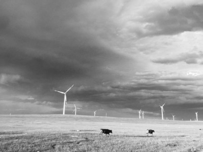 風(fēng)電譜寫(xiě)草原清潔能源新華章