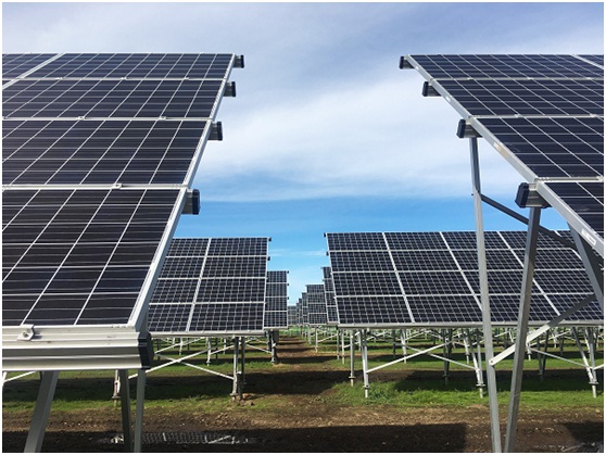 光伏新政板上釘釘 “凜冬”之中的轉(zhuǎn)機(jī)在哪里？