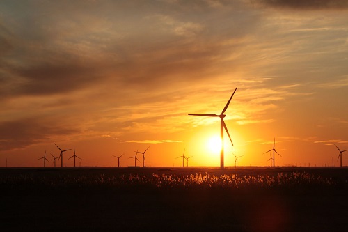 風(fēng)電市場(chǎng)冰火兩重天 國(guó)際化進(jìn)程促破繭成蝶