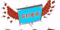 中國(guó)農(nóng)村電商市場(chǎng)現(xiàn)狀及<font color=