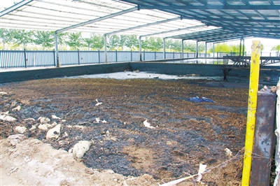 工業(yè)園侵占保護(hù)區(qū)，未整改反引進(jìn)新項目