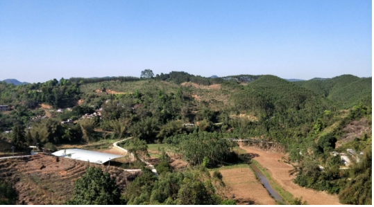 互聯(lián)網(wǎng)＋認(rèn)養(yǎng)農(nóng)業(yè)，顛覆產(chǎn)業(yè)綻放輝煌