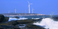 海上風(fēng)電終于想明白了：與其抱怨競價，不如換種<font color=
