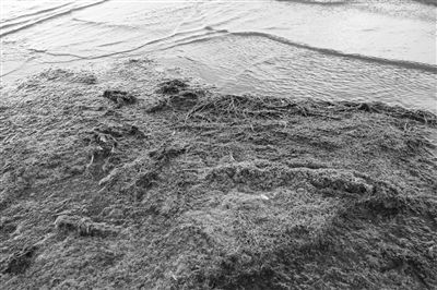 內(nèi)蒙古“一湖兩?！敝卫磉M(jìn)展緩慢