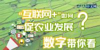 “互聯(lián)網(wǎng)+”如何促農(nóng)業(yè)發(fā)展？數(shù)字帶你看