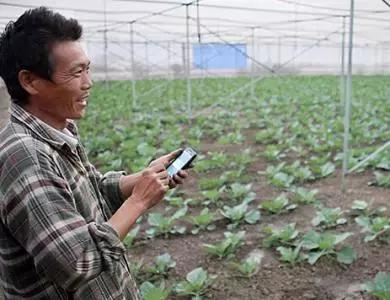 國務(wù)院常務(wù)會議鼓勵的“互聯(lián)網(wǎng)+農(nóng)業(yè)”創(chuàng)新手段，幫你找到了案例