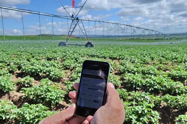 國(guó)務(wù)院常務(wù)會(huì)議鼓勵(lì)的“互聯(lián)網(wǎng)+農(nóng)業(yè)”創(chuàng)新手段，幫你找到了案例