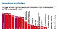 【數(shù)據(jù)】各種生物燃料能否減少碳排放？有的可以 有的卻比石油排放還高!