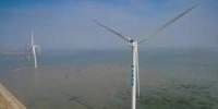 天津南港海上風(fēng)電場一期首批風(fēng)力發(fā)電機(jī)<font color=