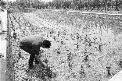 三年攻堅，滇池保護治理力爭實現(xiàn)新突破