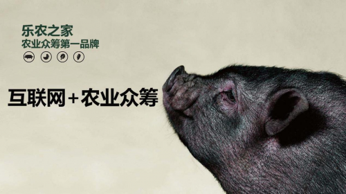 互聯(lián)網(wǎng)+農(nóng)業(yè)眾籌只賺吆喝 利潤(rùn)全被用戶拿走了？