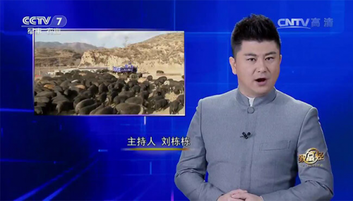 互聯(lián)網(wǎng)+農(nóng)業(yè)眾籌只賺吆喝 利潤(rùn)全被用戶拿走了？