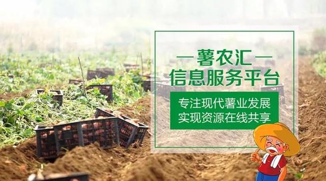 “互聯(lián)網(wǎng)+農(nóng)業(yè)”，創(chuàng)造農(nóng)村發(fā)展新活力