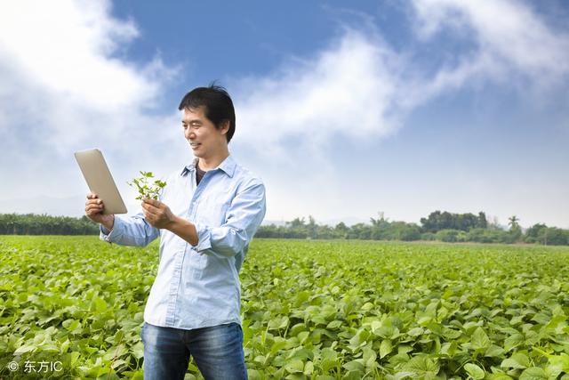 2018年農(nóng)村電商巨頭卡位戰(zhàn)：互聯(lián)網(wǎng)+農(nóng)業(yè)新玩法！