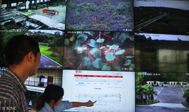 2018年農(nóng)村電商巨頭卡位戰(zhàn)：互聯(lián)網(wǎng)+農(nóng)業(yè)新玩法！