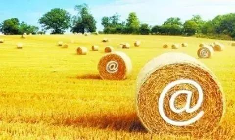 2018年農(nóng)村電商巨頭卡位戰(zhàn)：互聯(lián)網(wǎng)+農(nóng)業(yè)新玩法！