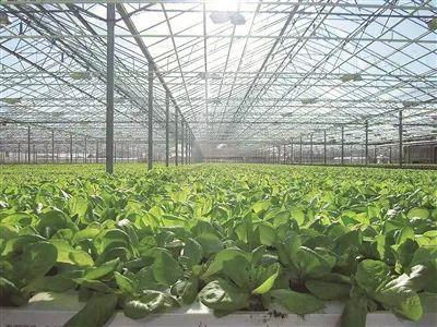 「互聯(lián)網(wǎng)+農(nóng)業(yè)」大數(shù)據(jù)開(kāi)啟山西智慧農(nóng)業(yè)新時(shí)代