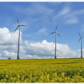風(fēng)電產(chǎn)業(yè)觀察：風(fēng)電行業(yè)的四個(gè)確定、三個(gè)不確定