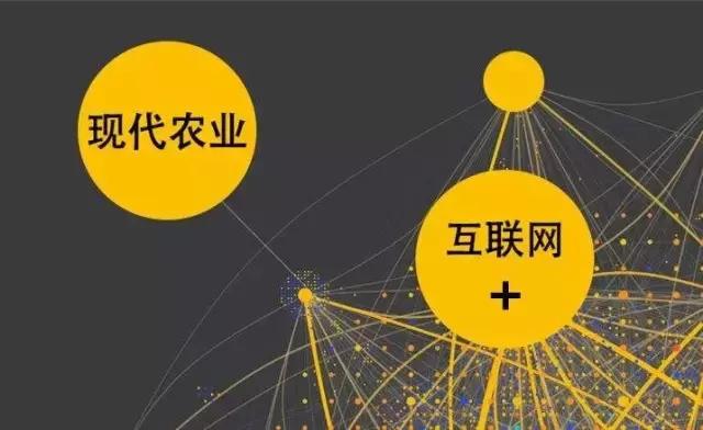 如何用“互聯(lián)網(wǎng)+”重塑農(nóng)業(yè)競爭優(yōu)勢？