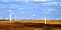 政策扶持 風電業(yè)<font color=