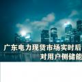 廣東電力現(xiàn)貨市場(chǎng)實(shí)時(shí)后對(duì)用戶(hù)側(cè)儲(chǔ)能收益的影響