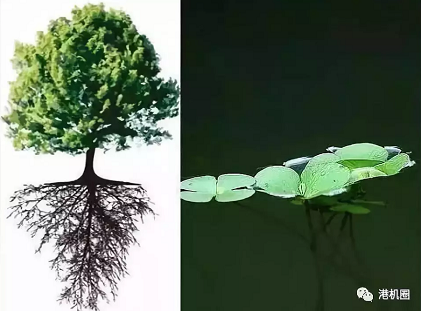 插樁式、坐底式 詳解海上風(fēng)電安裝平臺(tái)的作業(yè)方式