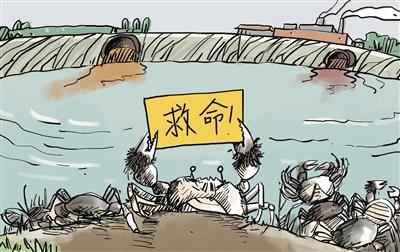 上游污水“毒死”萬畝大閘蟹，誰(shuí)擔(dān)其責(zé)？