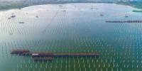 泗洪光伏發(fā)電應(yīng)用領(lǐng)跑基地2、4號漁光互補(bǔ)<font color=