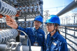 報告！1000千伏特高壓南陽站檢修完畢