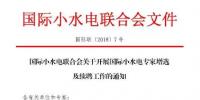國際小水電專家增選，最后一周！